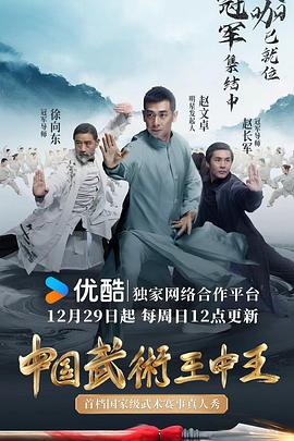 中國武術(shù)王中王